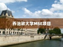 乔治敦大学MSE项目，学术与职业发展的卓越融合之路