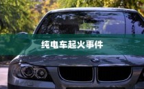 纯电车起火事件背后的车型深度探究