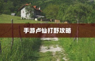 手游卢仙打野攻略，玩转野外战场技巧秘籍