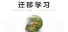 微美全息探索量子对抗迁移学习与跨领域数据处理新视角