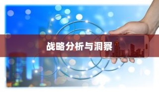 远视外贸猫结构，深度探索、战略洞察与分析