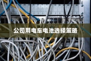 公司电车电池选型策略