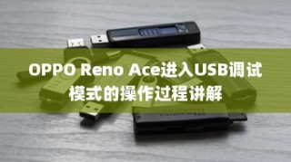 OPPO Reno Ace进入USB调试模式的操作过程讲解