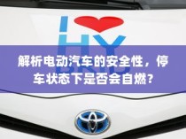 电动汽车安全性解析，停车状态下是否会自燃？