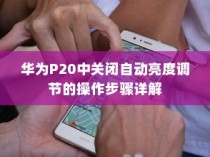 华为P20中关闭自动亮度调节的操作步骤详解