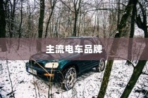 当下主流电车品牌深度解析，哪个品牌更值得选择？