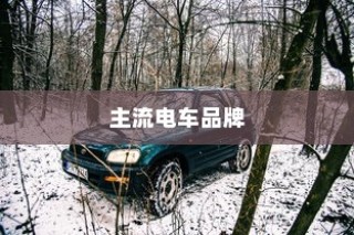 当下主流电车品牌深度解析，哪个品牌更值得选择？