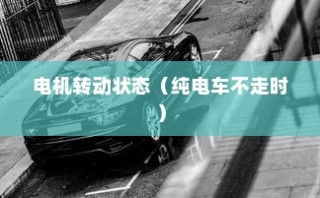 揭秘电动车动力系统运作机制，电机在纯电车不走时的运转状态探讨