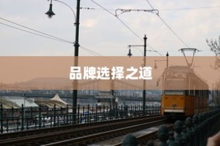 电车时代品牌选择攻略，明智决策你的出行之选