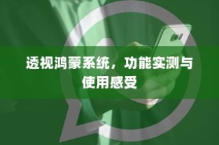 透视鸿蒙系统，功能实测与使用感受