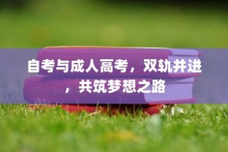 自考与成人高考，双轨并进，筑梦前行之路