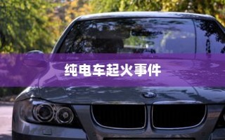 纯电车起火事件背后的车型深度探究