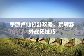 手游卢仙打野攻略，玩转野外战场技巧秘籍