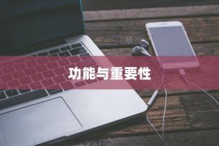iPhone 6旁边的键的功能与重要性