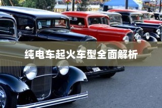 纯电车起火车型深度剖析