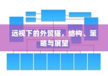 外贸猫视角下的长远观察，结构、策略与未来展望