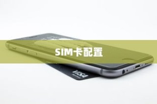 二、背景知识，iPhone的SIM卡配置