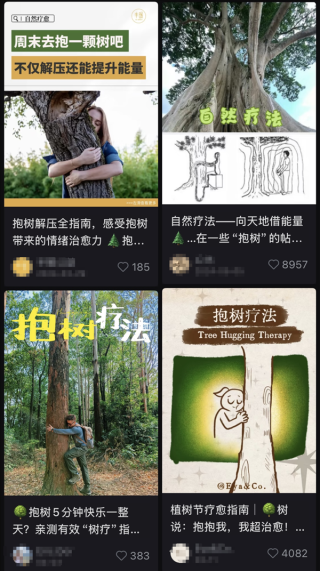 被低估的治内耗良方，实践指南推荐尝试