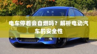 纯电车起火车型深度剖析