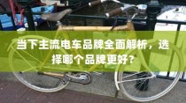 当下主流电车品牌深度解析，哪个品牌更值得选择？