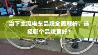 当下主流电车品牌深度解析，哪个品牌更值得选择？