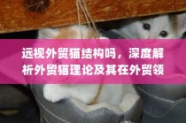 深度解析外贸猫理论，应用与启示于外贸领域的远视结构探讨
