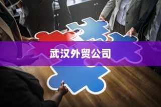 武汉外贸公司多元化战略下的蓬勃发展轨迹