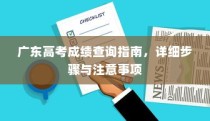 广东高考成绩查询指南，详细步骤及注意事项全解析