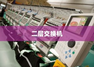 二层交换机是什么，网络设备中的核心角色