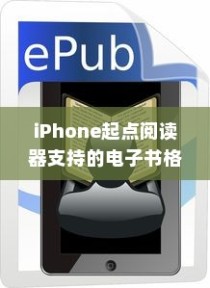 iPhone起点阅读器支持的电子书格式及阅读体验探讨