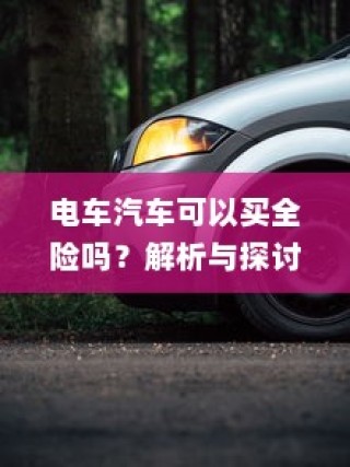 电车汽车全险解析与探讨