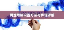 网速限制设置方法与步骤详解