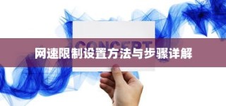 网速限制设置方法与步骤详解