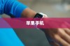 苹果手机看小说的便捷性探讨