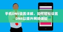 手机DNS设置详解，如何轻松设置DNS以提升网络体验