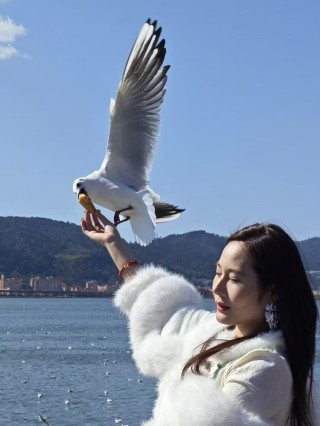 王泫梓妍与海鸥惊喜互动的瞬间抓拍纪实