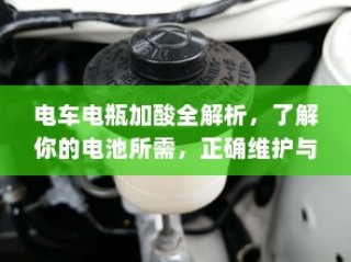 电车电瓶加酸全攻略，电池需求解析与维护保养要点