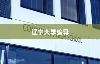辽宁大学编导录取全面解析