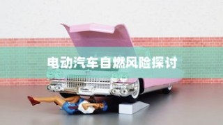 电动汽车停车状态下的安全性解析，自燃风险探讨与防范措施