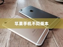 苹果手机卖什么版本，全面解析不同版本的差异与选择