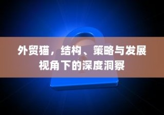 外贸猫，结构、策略与发展视角下的全方位深度洞察