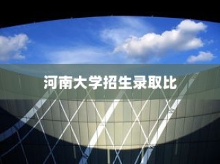 河南大学招生录取比全面解析与深度探索