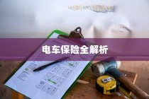 电车保险全解析，涵盖全险购买及保险种类选择探讨