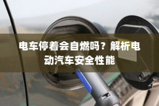 电动汽车安全性能解析，停车状态下是否会自燃？