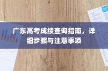 广东高考成绩查询指南，详细步骤及注意事项全解析