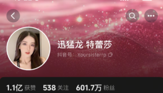 考研高分网红迅猛龙圆梦复旦MBA，梦想与现实交汇的辉煌篇章