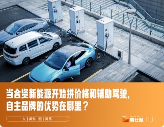 未来三到五年自主品牌新能源的优势展望
