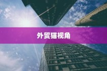 外贸猫视角下的深度洞察，结构、策略与未来展望
