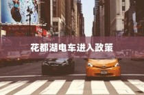 花都湖园区电动车进入政策探讨，电动车能否入园？