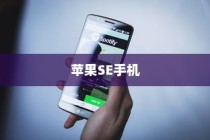 苹果SE手机抽签活动探究